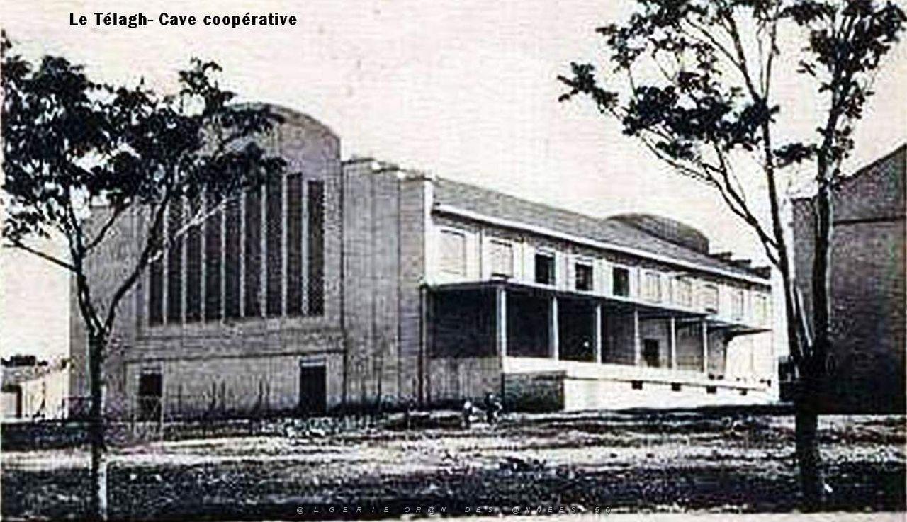 Telagh 606.jpg